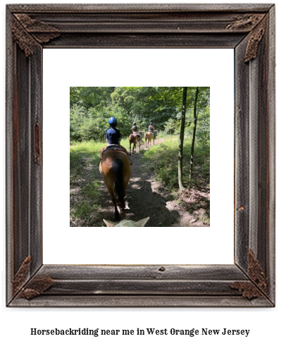 horseback riding near me in West Orange, New Jersey